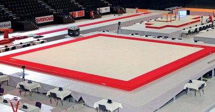 Покрытие для спортивной гимнастики (ППЭ) 30 мм